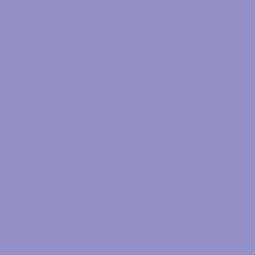 FONDALE CARTA BD VIOLET 2,72x11m art. 07134 - Cavone Lux Pro